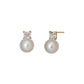 10K Square Shell Pearl Stud Earrings (Yellow Gold) - Product Image